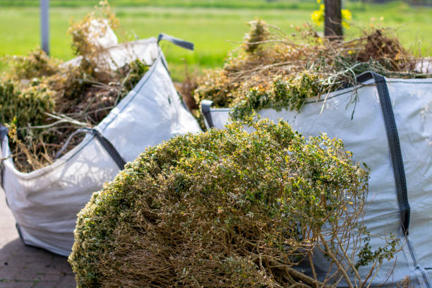 Trusted Lennox, CA Junk Removal Experts